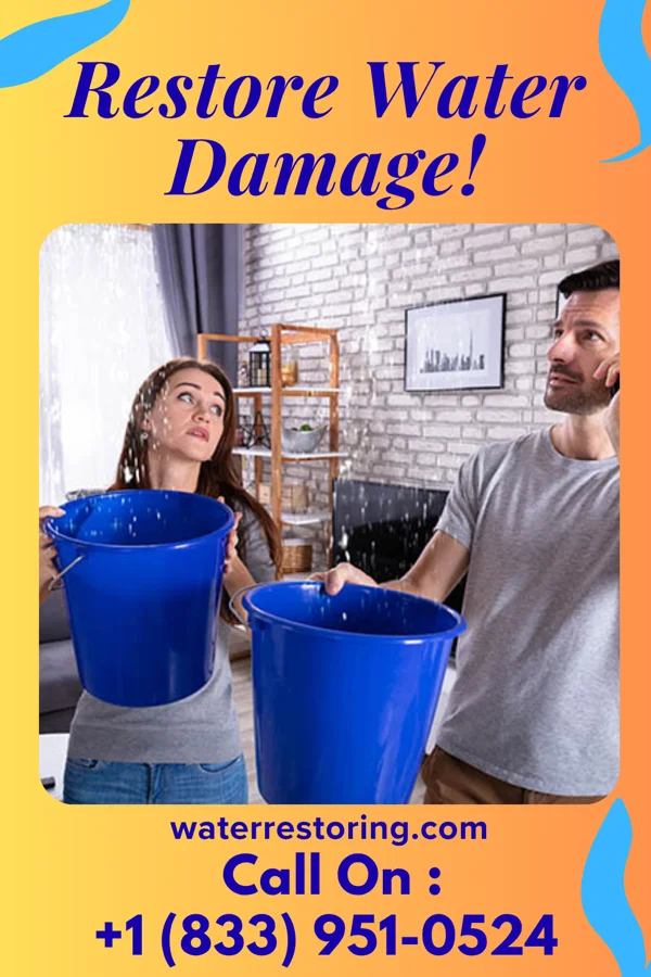 water restoration Elite Recovery Solutions Greenbush